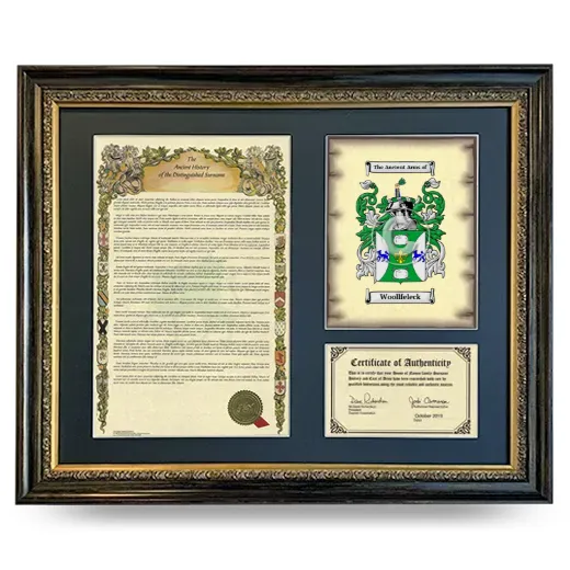 Woollfeleck Framed Surname History and Coat of Arms- Heirloom