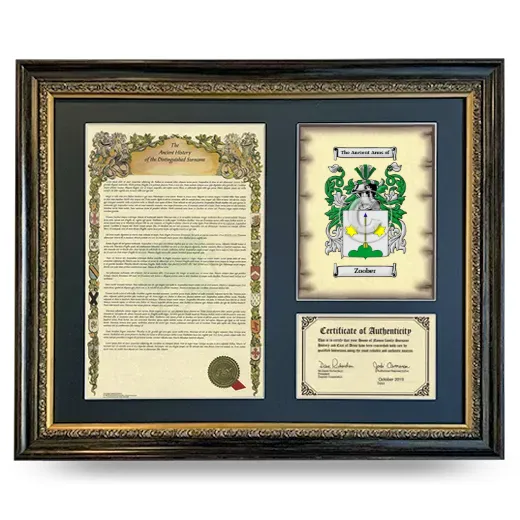 Zoober Framed Surname History and Coat of Arms- Heirloom