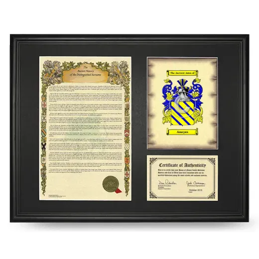Anayas Framed Surname History and Coat of Arms - Black