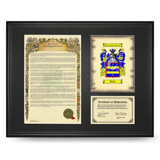 Bayés Framed Surname History and Coat of Arms - Black