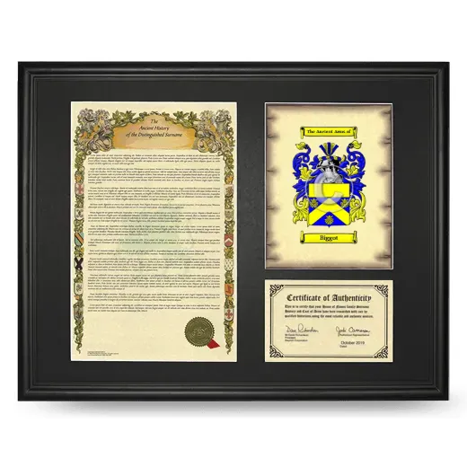Biggot Framed Surname History and Coat of Arms - Black