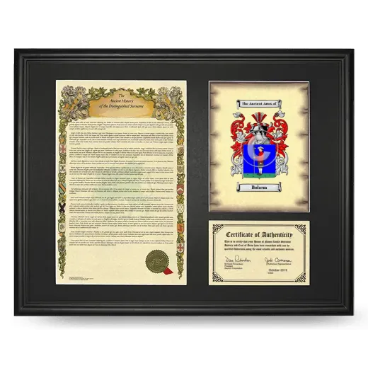 Bohem Framed Surname History and Coat of Arms - Black