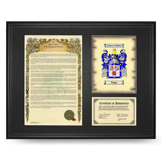 Briggs Framed Surname History and Coat of Arms - Black