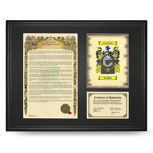 Brookins Framed Surname History and Coat of Arms - Black