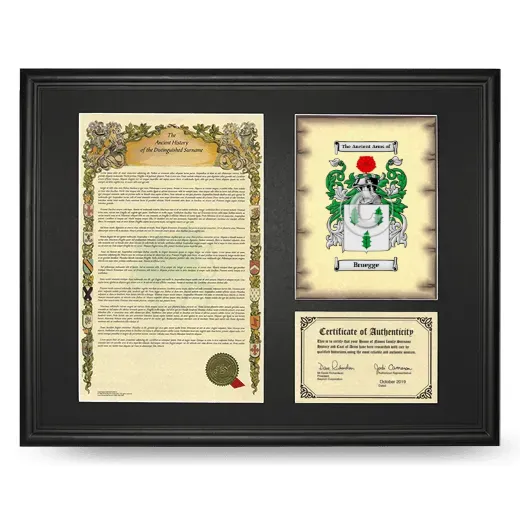 Bruegge Framed Surname History and Coat of Arms - Black