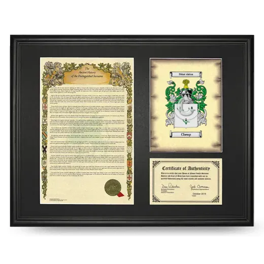 Cheap Framed Surname History and Coat of Arms - Black