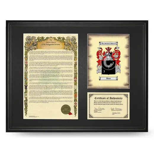 Dam Framed Surname History and Coat of Arms - Black