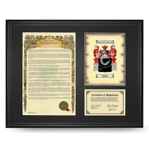 Damm Framed Surname History and Coat of Arms - Black