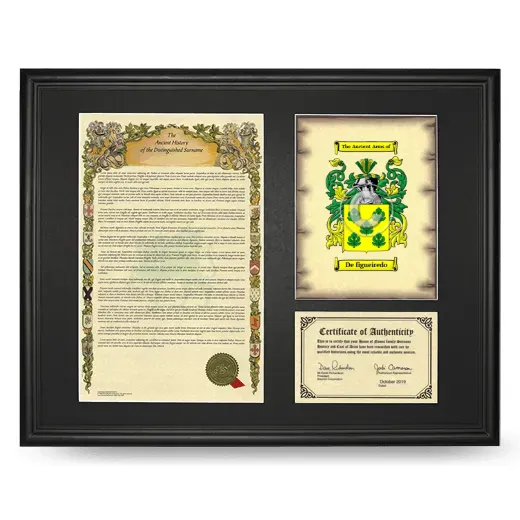 De figueiredo Framed Surname History and Coat of Arms - Black