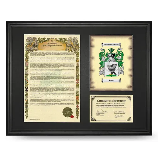 Erne Framed Surname History and Coat of Arms - Black