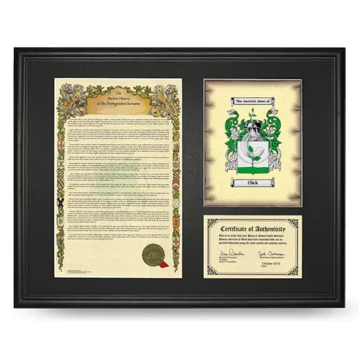 Flick Framed Surname History and Coat of Arms - Black