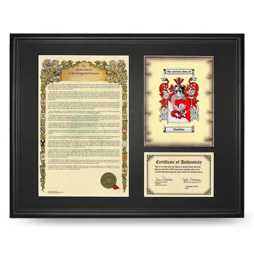 Gaiden Framed Surname History and Coat of Arms - Black