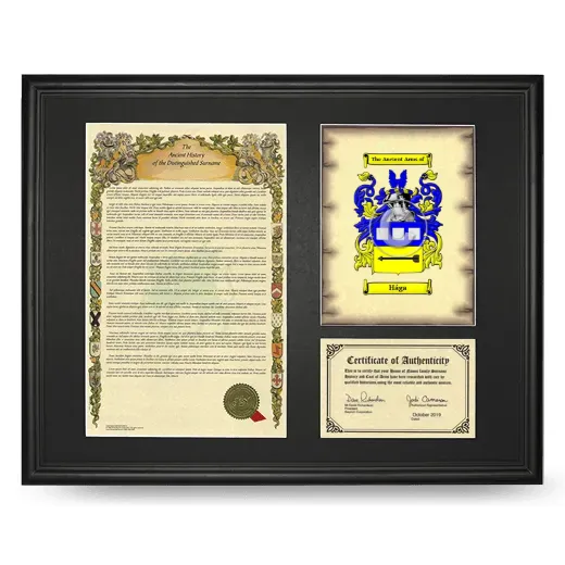 Hága Framed Surname History and Coat of Arms - Black