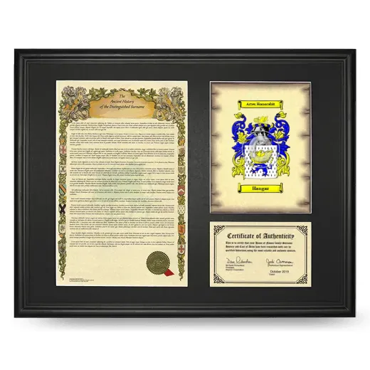 Hangar Framed Surname History and Coat of Arms - Black