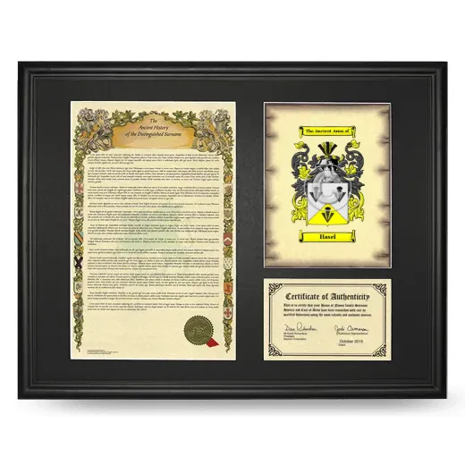 Hasel Framed Surname History and Coat of Arms - Black