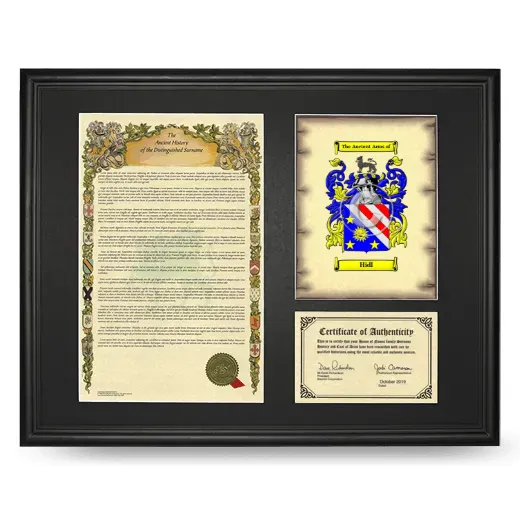 Hidl Framed Surname History and Coat of Arms - Black