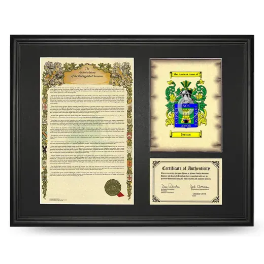 Jerma Framed Surname History and Coat of Arms - Black