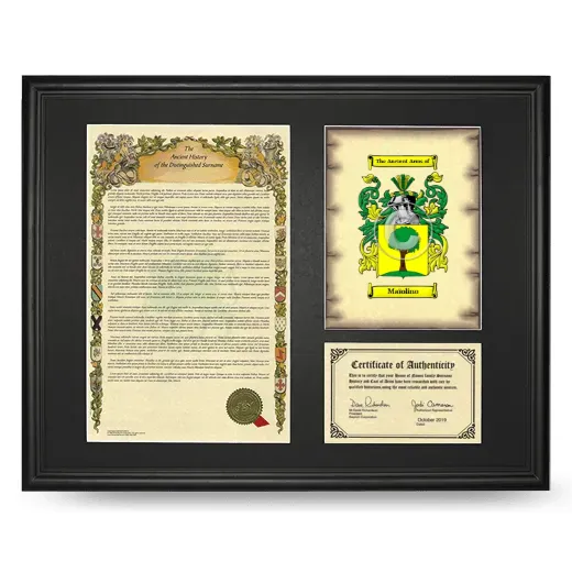 Maïolino Framed Surname History and Coat of Arms - Black