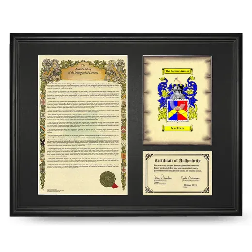 MacHale Framed Surname History and Coat of Arms - Black