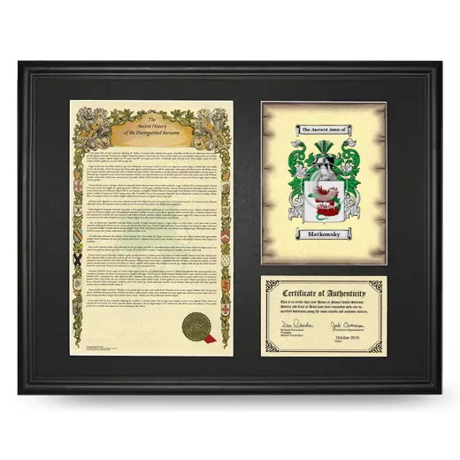 Matkowsky Framed Surname History and Coat of Arms - Black