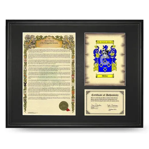 Meliar Framed Surname History and Coat of Arms - Black