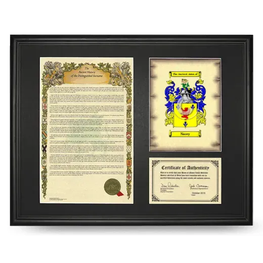 Narey Framed Surname History and Coat of Arms - Black