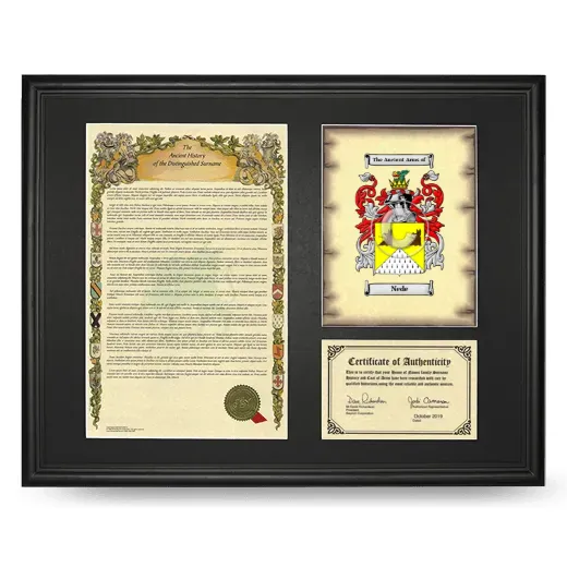 Nede Framed Surname History and Coat of Arms - Black