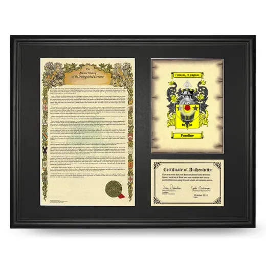 Pandine Framed Surname History and Coat of Arms - Black