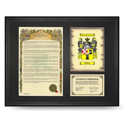 Pedroni Framed Surname History and Coat of Arms - Black