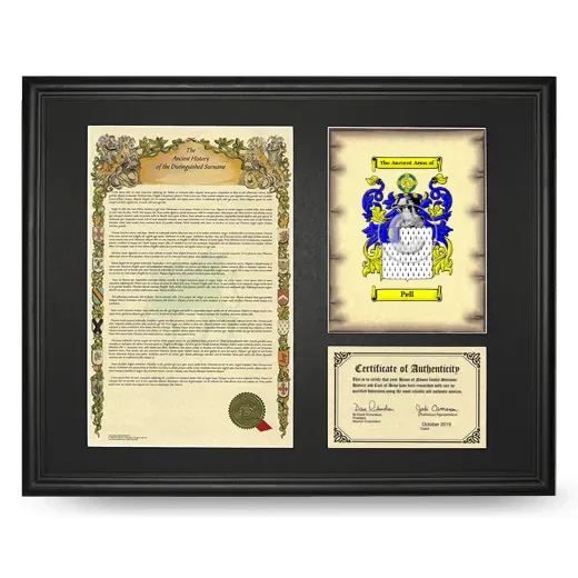 Pell Framed Surname History and Coat of Arms - Black