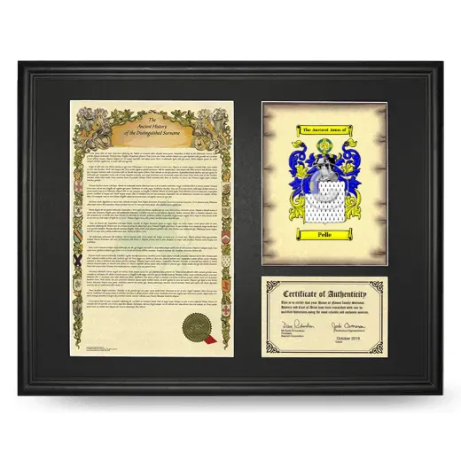 Pelle Framed Surname History and Coat of Arms - Black