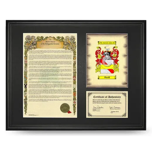Pinell Framed Surname History and Coat of Arms - Black