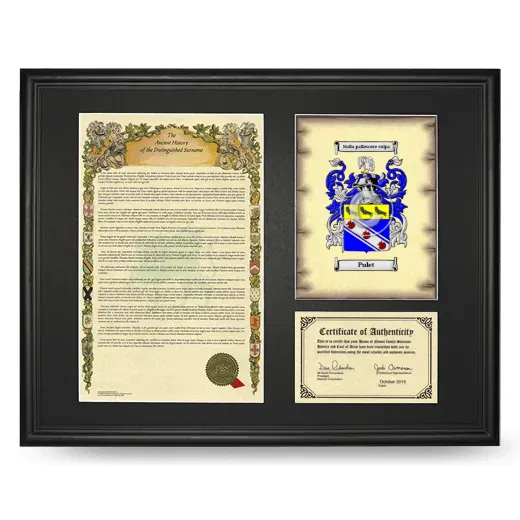 Pulet Framed Surname History and Coat of Arms - Black