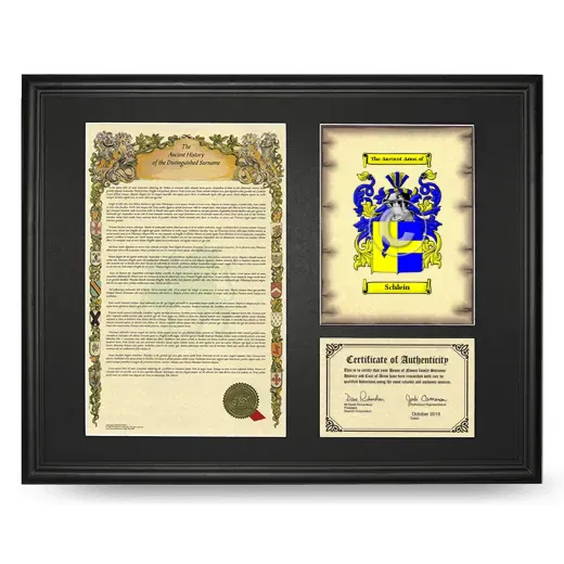 Schlein Framed Surname History and Coat of Arms - Black