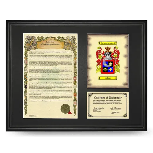 Selina Framed Surname History and Coat of Arms - Black