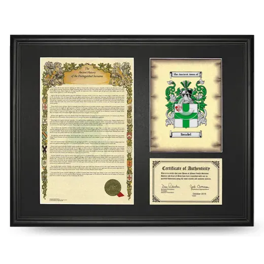 Sendel Framed Surname History and Coat of Arms - Black