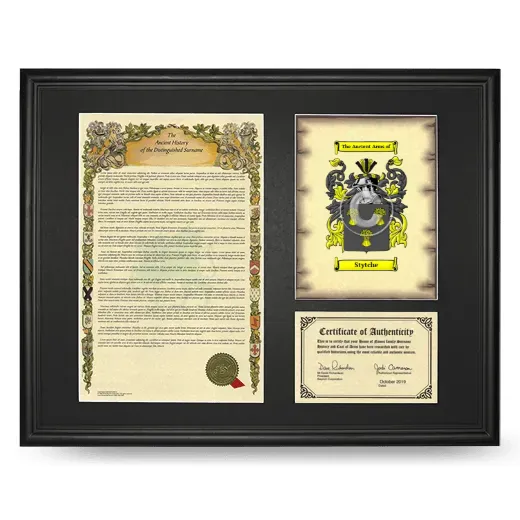 Stytche Framed Surname History and Coat of Arms - Black