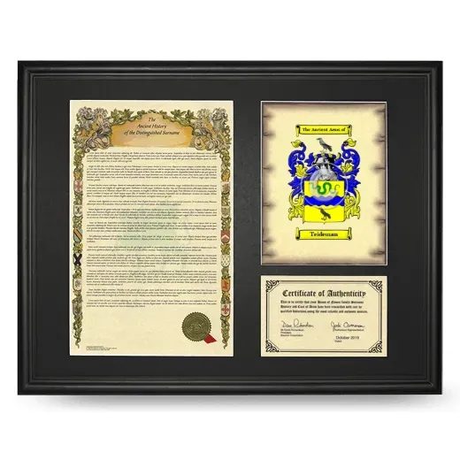 Teideman Framed Surname History and Coat of Arms - Black