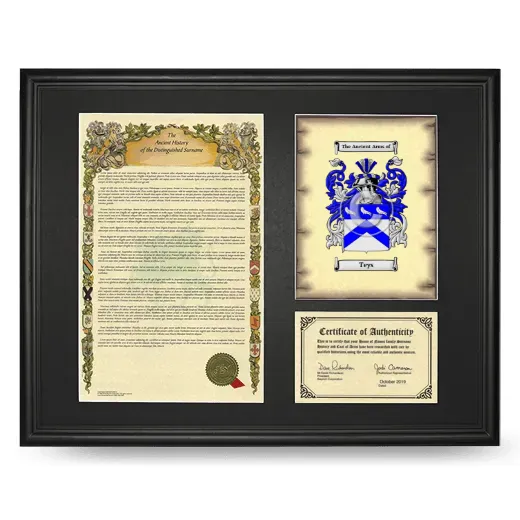 Teys Framed Surname History and Coat of Arms - Black