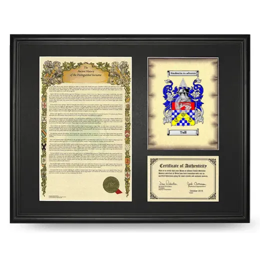 Tull Framed Surname History and Coat of Arms - Black