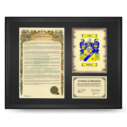 Waldner Framed Surname History and Coat of Arms - Black