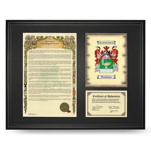 Wasserman Framed Surname History and Coat of Arms - Black