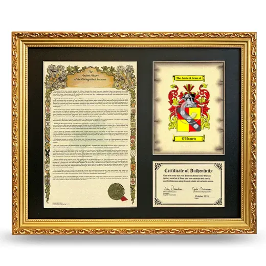 O'Hanen Framed Surname History and Coat of Arms- Gold