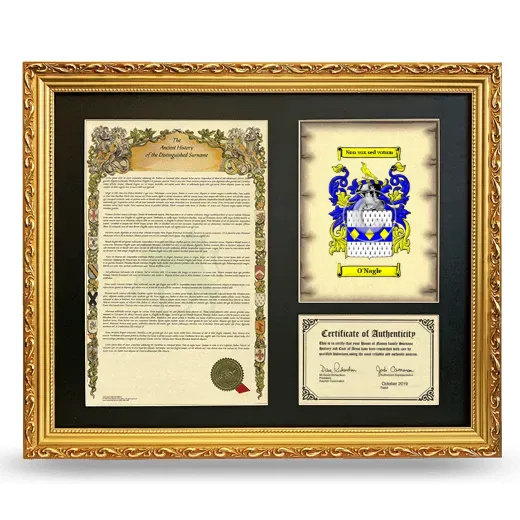 O'Nagle Framed Surname History and Coat of Arms- Gold