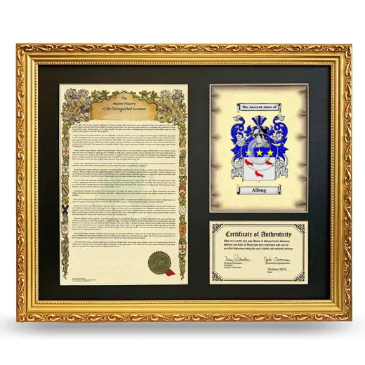 Alleng Framed Surname History and Coat of Arms- Gold