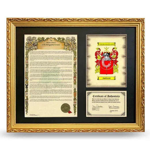 Amhurst Framed Surname History and Coat of Arms- Gold