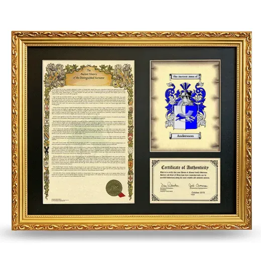 Andersson Framed Surname History and Coat of Arms- Gold