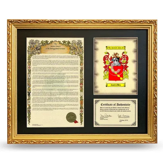 Anstrelley Framed Surname History and Coat of Arms- Gold