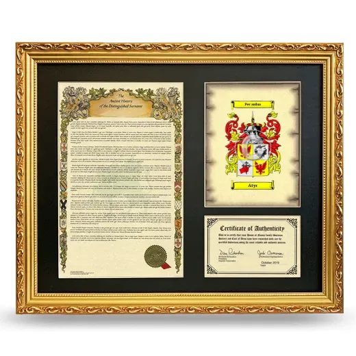 Atyr Framed Surname History and Coat of Arms- Gold