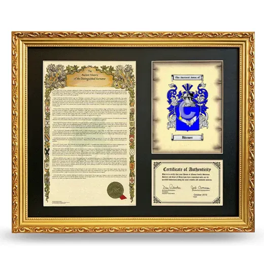 Bärner Framed Surname History and Coat of Arms- Gold